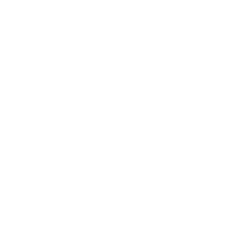 JustMagic Logo